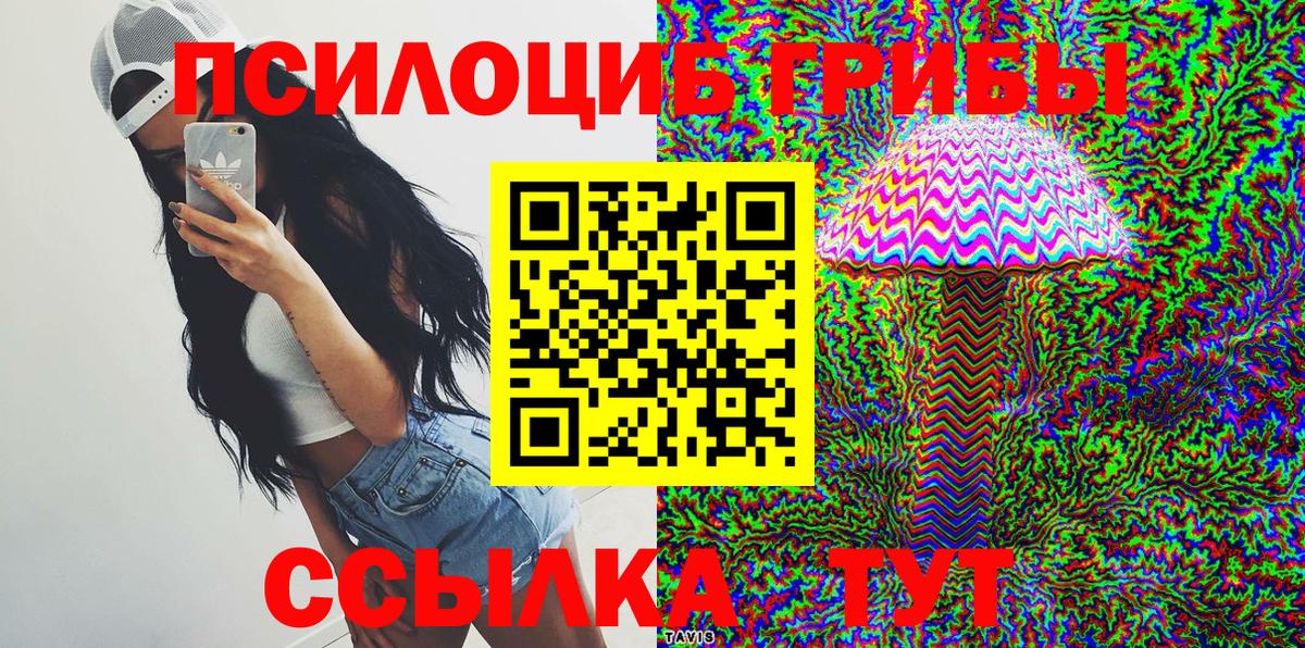 Галлюциногенные грибы Psilocybine cubensis Верхняя Пышма